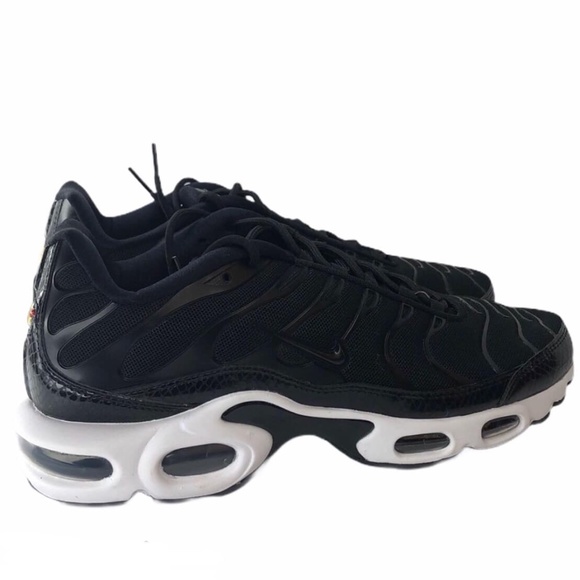 womens nike air max plus black